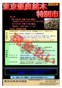 令和5年3月15・16日　東銘優良銘木特別市