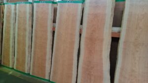 秋銘展出品材　杉厚板　床天　平割