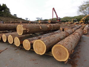 ４月21日　移転開設特別市