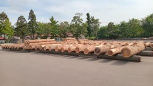 第５４回　秋田県銘木展示大会