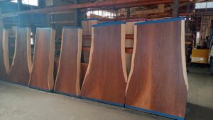 第29回 東日本銘木展示大会 初市 入荷２